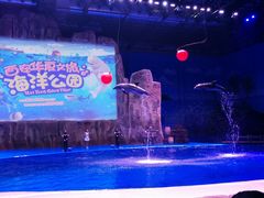 -华夏文旅海洋公园