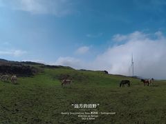 -乌蒙大草原