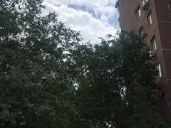 -比格比萨自助(花园路店)