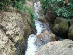 android_upload_pic-清溪森林公园