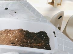 -鹏欣水游城