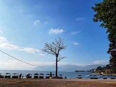 -抚仙湖禄充风景区