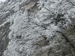 -洛阳白云山景区