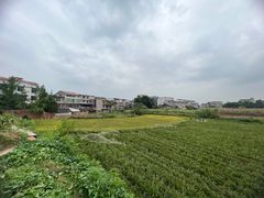 -芭夯兔·无骨兔汤锅(华阳店)