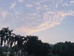 -北京市陈经纶中学