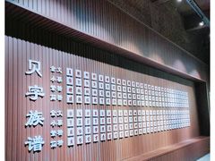 -贝壳王国博物馆