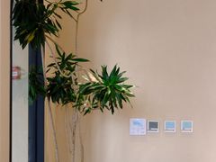 -Jamaicablue Coffeeshop(中央广场店)