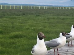 -花湖生态旅游区