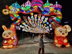-沈阳奥体冰雪嘉年华