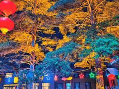 -北极村旅游风景区