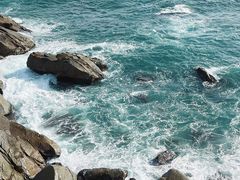 -广东惠东海龟国家级自然保护区
