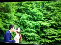 点击看大图 -太郎花子婚纱摄影艺术中心