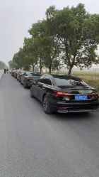 -蚂蚁婚车