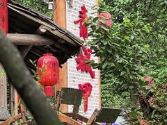 -青城甲(青城山店)