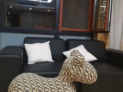 -猫十亿·布偶金渐层·曼基康矮脚猫舍(青年路店)