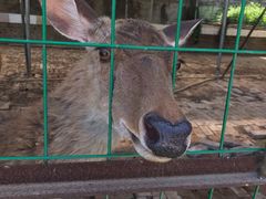 -八景休閒山莊  廣東十大名山莊