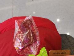 -天津自然博物馆