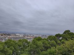 -仙岳公园