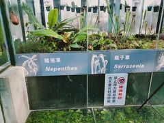 -国家植物园南园