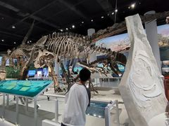 -国家自然博物馆