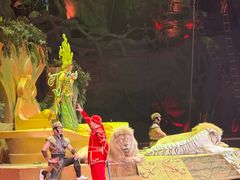 -广州长隆国际大马戏