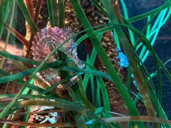 -沈阳海洋探索中心