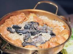 -Darling Queen·Mini·Live·House