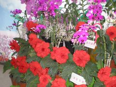 花展-西安世博园