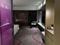 -南京禄口机场雅高铂尔曼大酒店