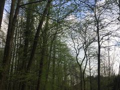 -山王坪喀斯特国家生态公园