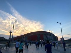 -南京奥林匹克体育中心-体育馆