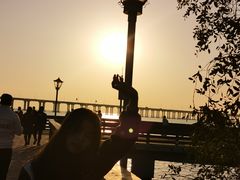 -宝安西湾红树林湿地公园