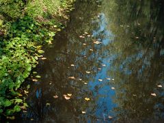 -合肥滨湖国家森林公园