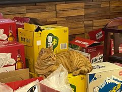 -聚汇三少·龙虾·中餐厅(莫邪路新天地店)