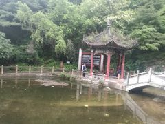 -王顺山国家森林公园