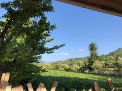 -黑河国家森林公园