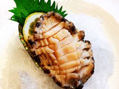 鲍鱼刺身-万宝海鲜舫(劳动公园店)