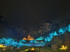 -禅宗少林·音乐大典