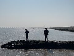 -南汇嘴观海公园