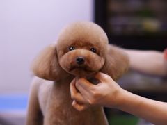 -转角宠物(转塘方家苑店)