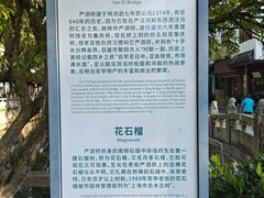-安亭老街