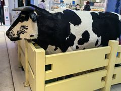 -红星前进面包牛奶公司(君太店)