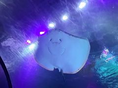 -沈阳海洋探索中心