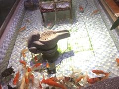 -向阳庄烧烤店(望京西园店)