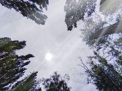 -北坞公园
