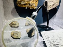 -河南自然博物馆