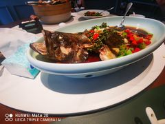 清蒸石斑鱼-新海渔港·胶东海鲜家常菜·家宴(奥体中心店)