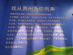 景观位-贵凤凰贵州米粉(望京店)