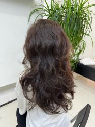 -FINE HAIR 烫染专业设计