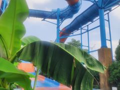 -苏州乐园森林水世界